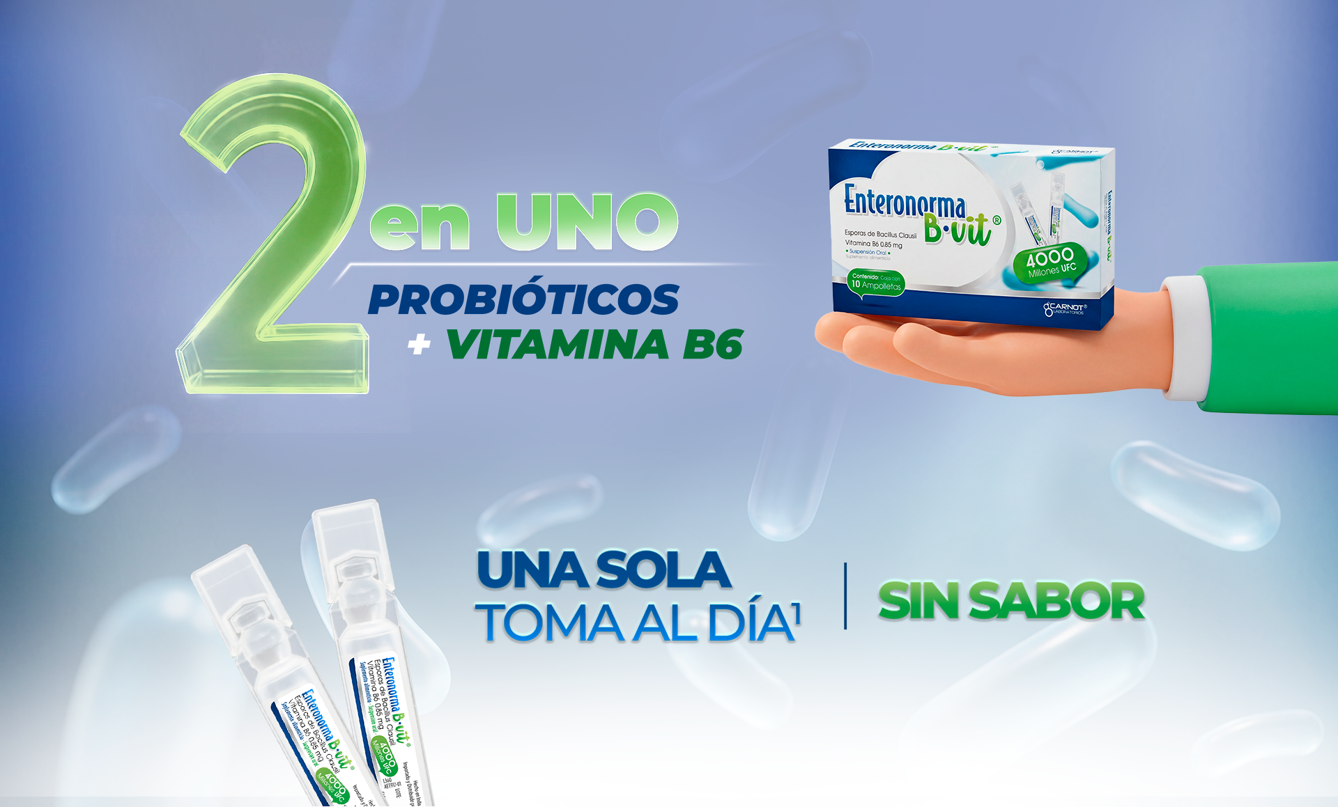 Características Enteronorma B-Vit